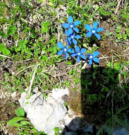 Lejlighed Haus Katharina *