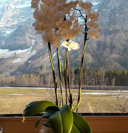 Apartamento Haus Katharina Schnepfau